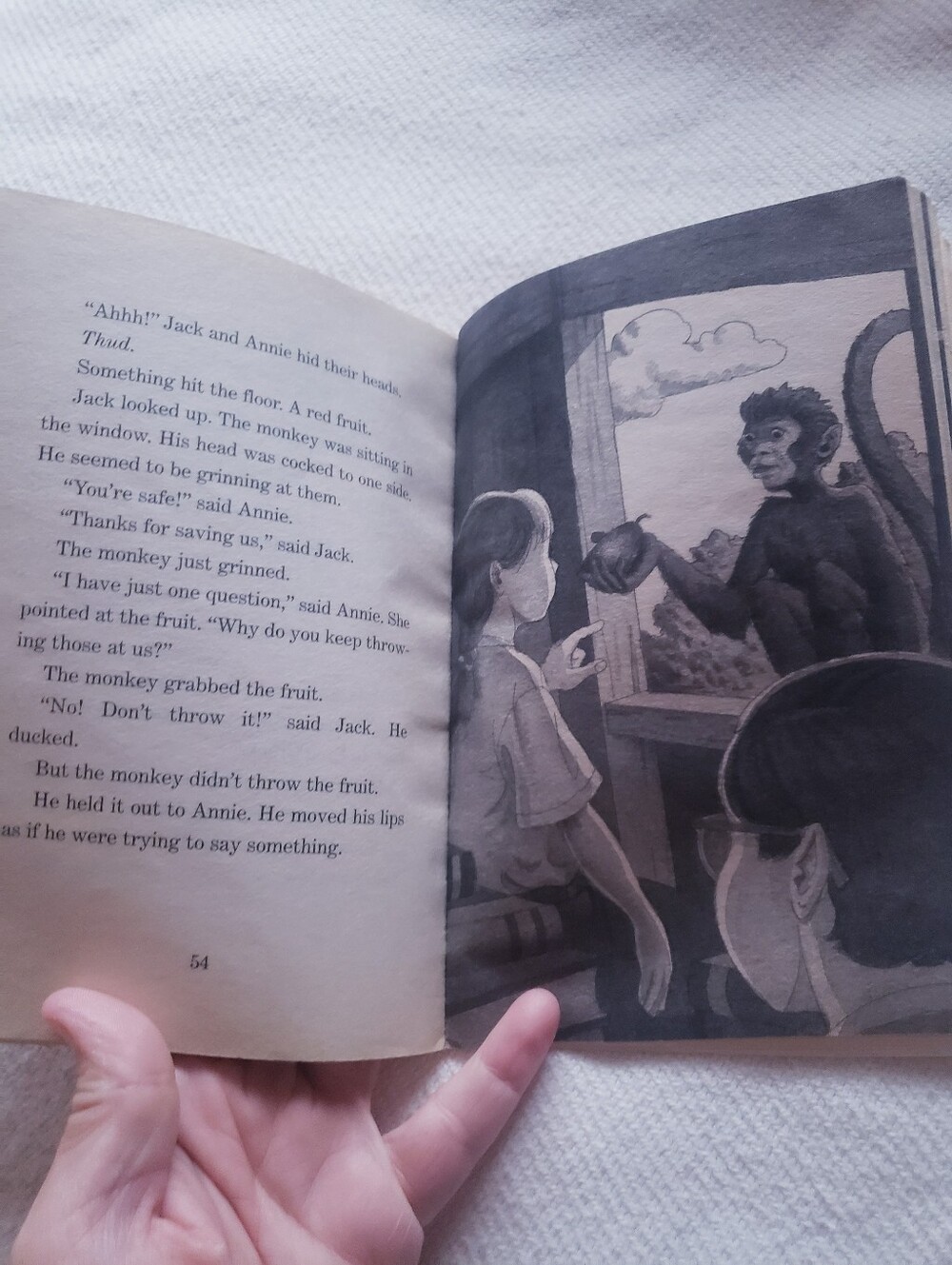 Magic Tree House Books - Picture 5 of 15